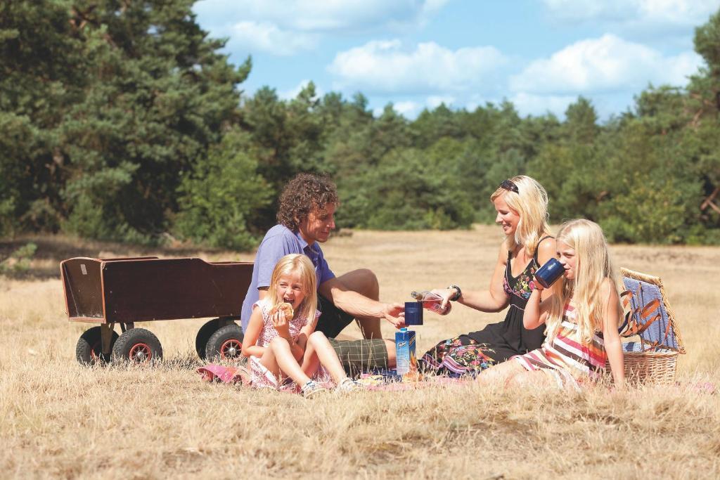 Vakantiepark De Berkenhorst Kootwijk Zewnętrze zdjęcie